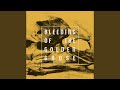 David Simon (feat. Damo the Great)