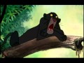 Mammals Inc Trailer