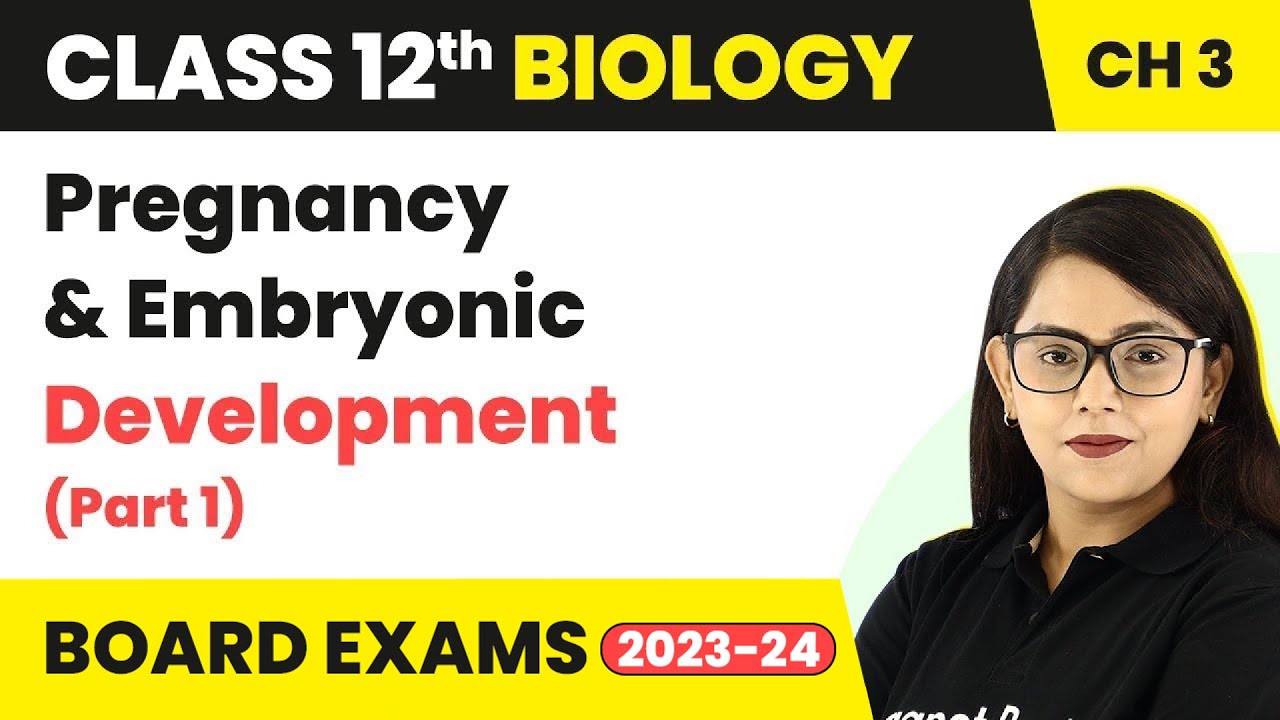 Class 12 Biology Chapter 3 |Pregnancy & Embryonic Development (Part 1)- Human Reproduction CBSE/NEET
