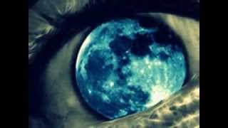 Bernard  Fanning   _  Hope  and  Validation.