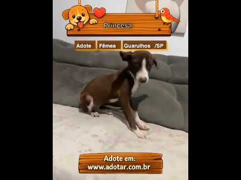 Vídeo de Princesa