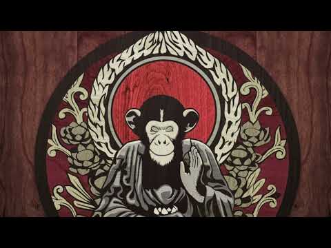[ Drum And Bass Reggae 2023 ] LaChips : Monkey Vibes