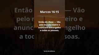 Louvado é o nosso Senhor Jesus Cristo.    Marcos Capítulo 16 Versículo 15