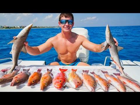 Baby SHARK Sushi & Whole Grilled Snapper! Catch Clean Cook
