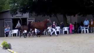 Video of Davinda