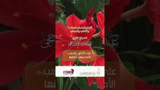 صورة وصية الأولياء بحشمة النساء II فضيلة الشيخ عبدالعزيز الراجحي