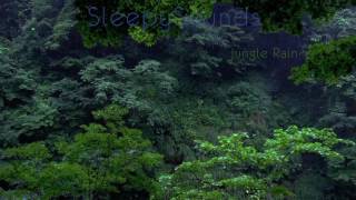Jungle Rain – 9 hour Rain Forest Sleep Sound – Nature, Relaxation