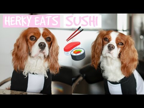 HOW TO MAKE SUSHI FOR YOUR DOG | Futomaki Sushi Recipe