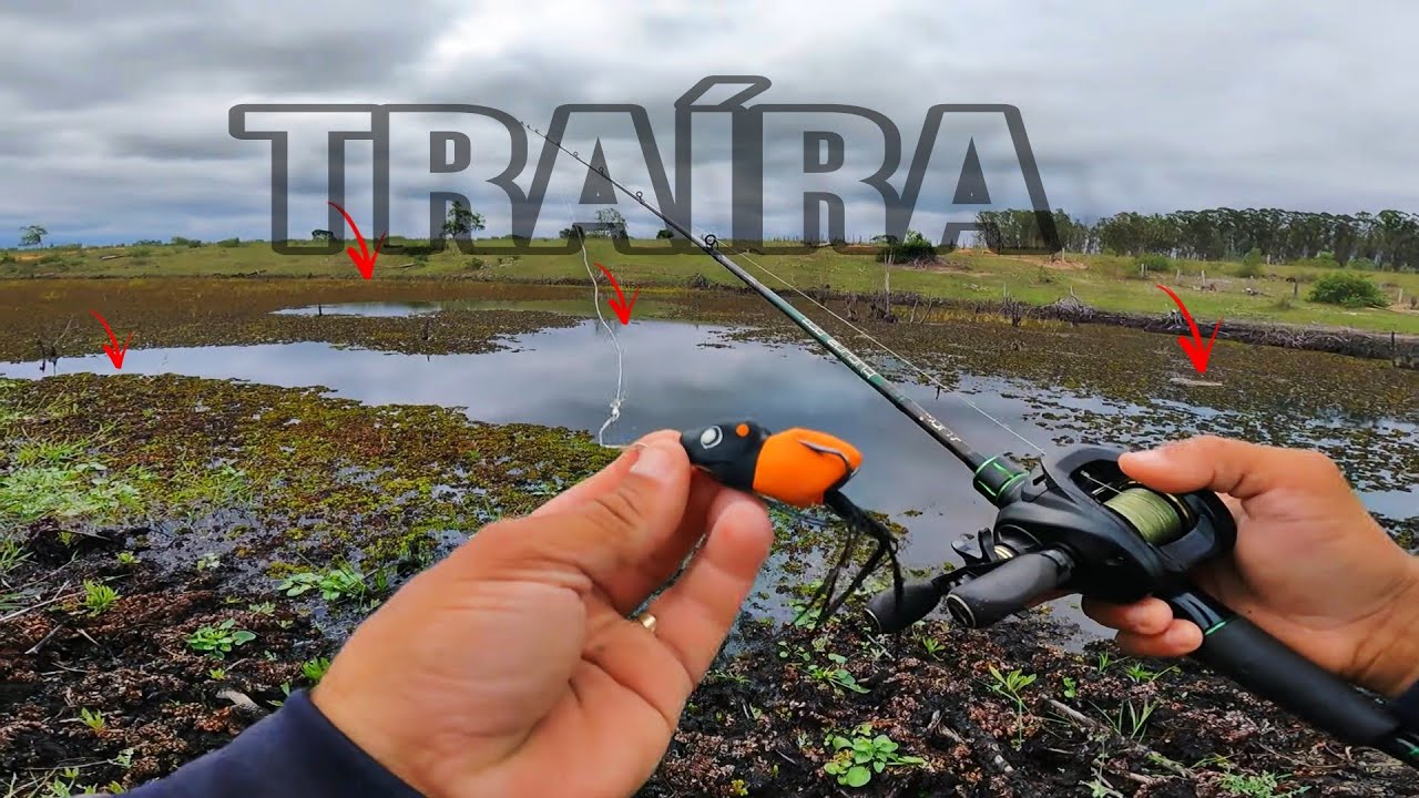 🚨 Encontrei um lugar pouco explorado onde os MONSTROS se escondem! PESCARIA de TRAÍRAS 🔥🎣