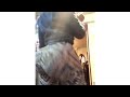 Zmeenaorr Big Booty Twerk Compilation