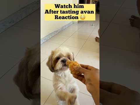 Unexpected one 😳 enna reaction 😂 aana avanuku nanga sapda kudukala vega vecha chicken kuduthom