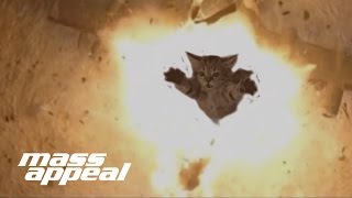 Meow The Jewels Is Real