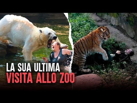 Deadliest Zoo Attacks: Animals That Bite