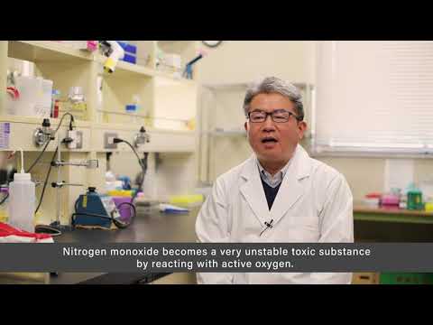 公共経営学科 Department of Biological Chemistry