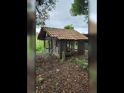 R$ 399 MIL OU R$ 450 MIL C/50% DE ENTRADA - CHÁCARA PLANA 10.000 m², REGISTRADA, TIJUCAS DO SUL/PR.