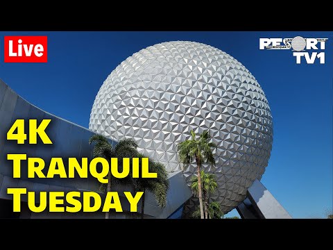 🔴4K Live: An Early Tranquil Tuesday at Epcot in 4K - Walt Disney World Live Stream - 6-4-24