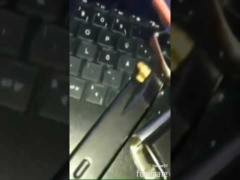 AslanTeufel - Chillishote 🌶