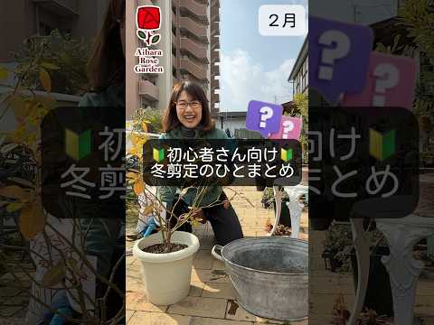 バラの茂みを越冬させる方法のヒント