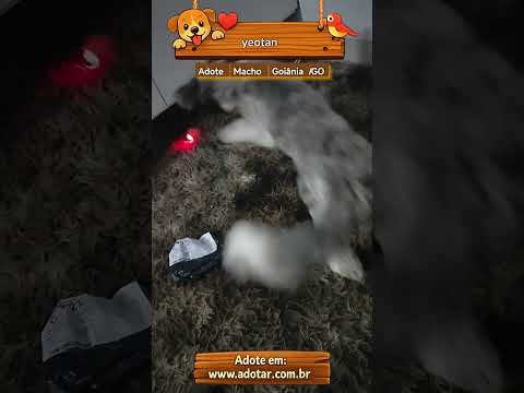 Vídeo de yeotan