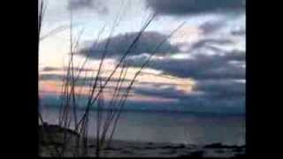 warrel dane-chosen misery