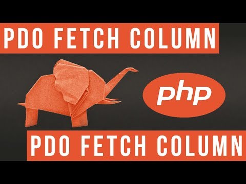Fetch Results in PDO with Fetch Column Become a PHP Master 33