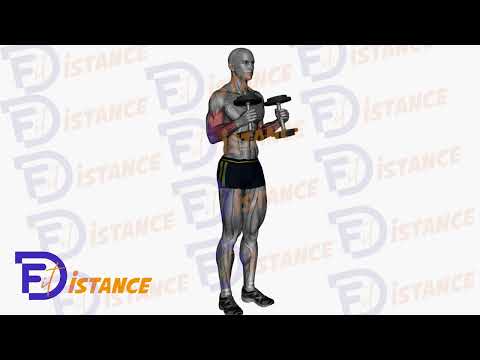 Curls marteau debout - Exercice Curls marteau debout en vidéo