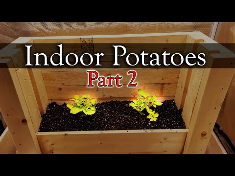 Gardening Indoors Vlog Part 1 of 10
