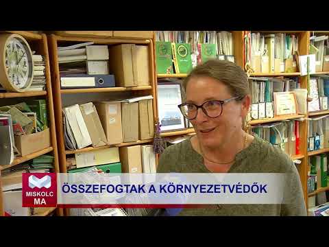 Videó előnézet