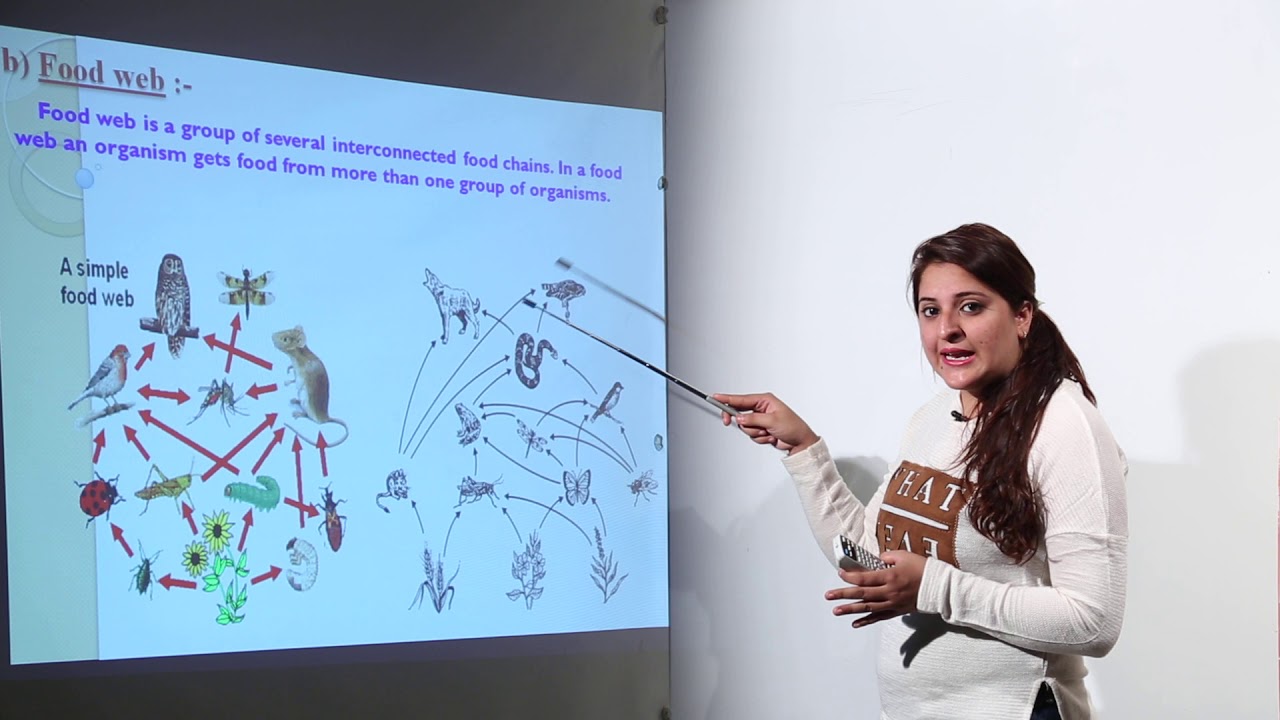 Free topic l ICSE Class 9th I BIOLOGY I Chapter 2 I Lecture 3 | Ecosystem l L7