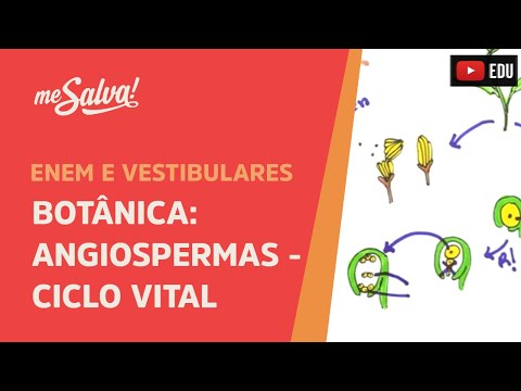 Me Salva! BOT11 - Botânica - Angiospermas: Ciclo Vital