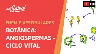 Me Salva! BOT11 - Botânica - Angiospermas: Ciclo Vital