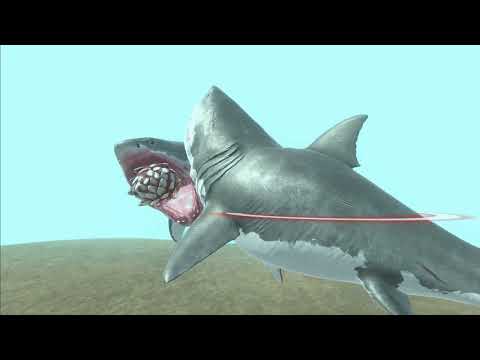 All Water Units vs Mutant Megalodon - Animal Revolt Battle Simulator