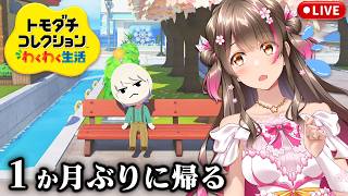 【トモコレ】1か月ぶりに島へ帰ってみる！住民たちはどうなっているのか…？【トモダチコレクション わくわく生活】