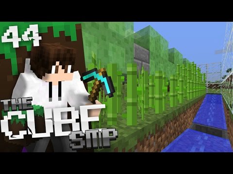 Minecraft Cube SMP: E44 - Automatic Sugarcane Farm!