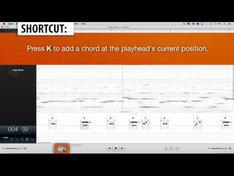 Free Download Capo Explored TUTORiAL-SYNTHiC4TE