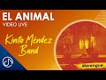 El ANIMAL 😜 - Kinito Méndez Band, Estadio Olímpico [Video Live]