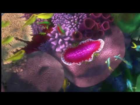 Finding Boo Boo (Finding Nemo) Part 4 - Field Trip