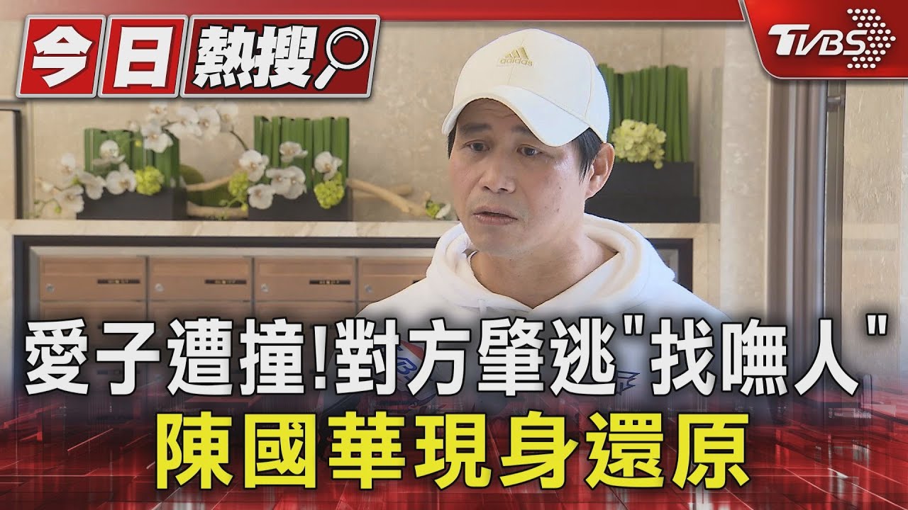 愛子遭撞!對方下秒肇逃 陳國華籲快出面:釋最大容忍度