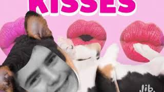JibJab | Kisses gif