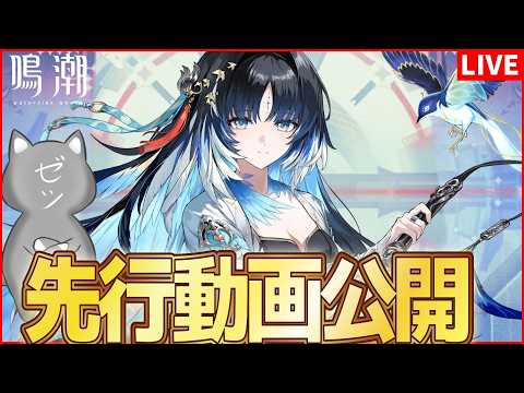 「鳴潮の魅力全開！秧秧玄翎と穂穂の先行動画を徹底解説」