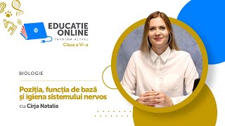  Poziția, funcția de bază și igiena sistemului nervos