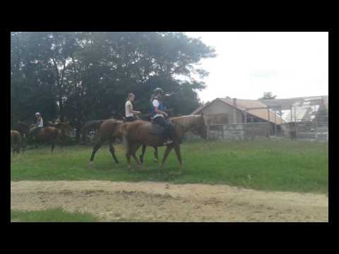 Happy birthday, Dorina:D~