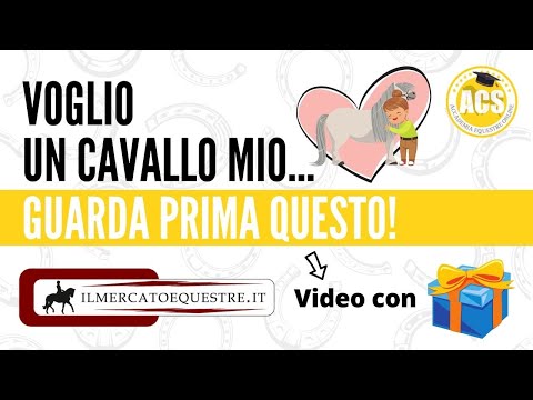 IL MIO PRIMO CAVALLO! Come, quando e perché... 🐴