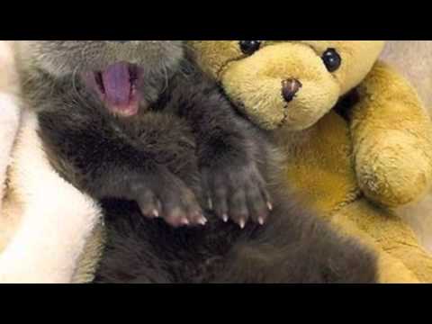 Boxguts and Will Taubin; Electric Termite Mound Structure; Mega Mosaic