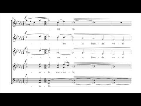 Kim André Arnesen - Dormi, Jesu (score video)