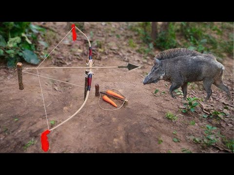 Amazing Skill Building wild boar trap From Hammer #skilltrap #animals #camping #shorts