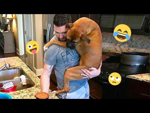 I'm 101% SURE that you will LAUGH EXTREMELY HARD- Funny Dog 2026 #279