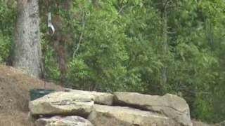 K-Otic ~ I Surrender (cover)