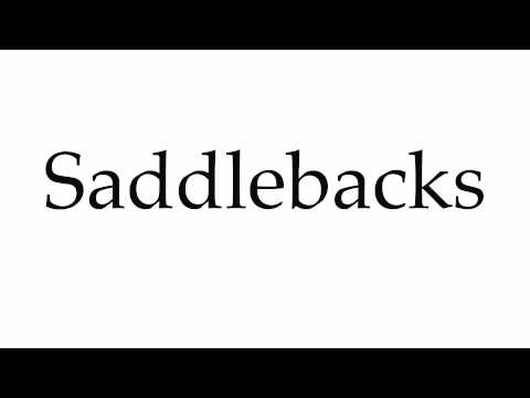 How to Pronounce Saddlebacks