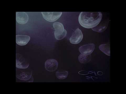 GeloGelido - Icaro (Prod. sonno.) - AUDIO